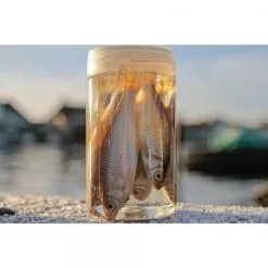 Albatros Aasvisjes Voorn -Gamakatsu Winkel 10971816652Albatros Aasvisjes Voorn