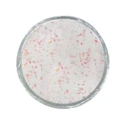 Berkley Powerbait Trout Bait Glow 11 Berkley Powerbait Trout Bait Glow -Gamakatsu Winkel 2851464Berkley Powerbait Trout Bait Glow 4