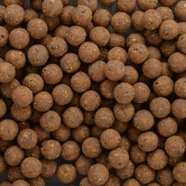 SAGA Excellent Range Squid Addict 1kg 4 SAGA Excellent Range Squid Addict 1kg - Afbeelding 2